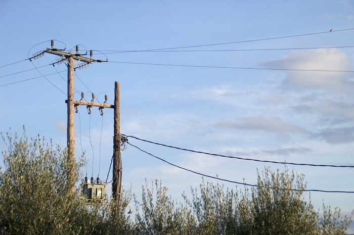 PICT2188 small ELECTRIC CLEAR SKY with BIRD.jpg - 228759 Bytes
